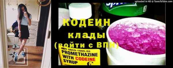 амф Карпинск