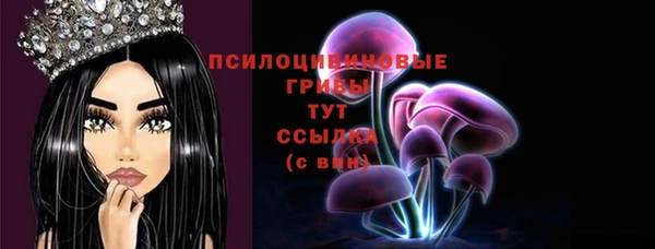 spice Карталы
