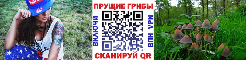Купить закладки  Донецк  Галлюциногенные грибы MAGIC MUSHROOMS 